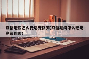 疫情地区怎么托运宠物狗(疫情期间怎么把宠物带回国)