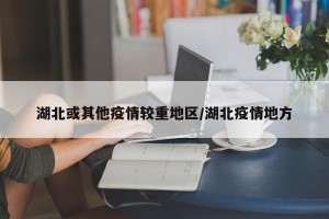 湖北或其他疫情较重地区/湖北疫情地方