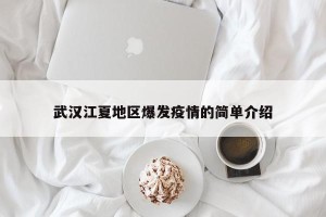 武汉江夏地区爆发疫情的简单介绍